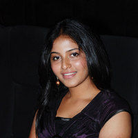 Anjali (Actress) - Untitled Gallery | Picture 19563